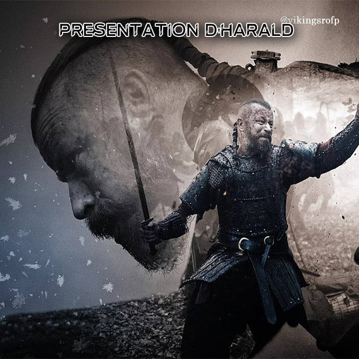 Présentation d'Harald dans la série Vikings