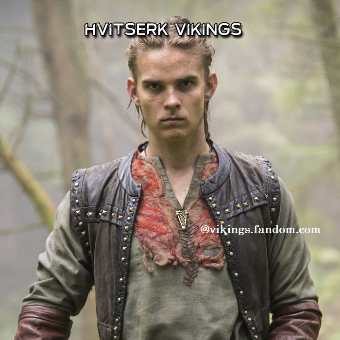Présentation d'Hvitserk dans la série Vikings