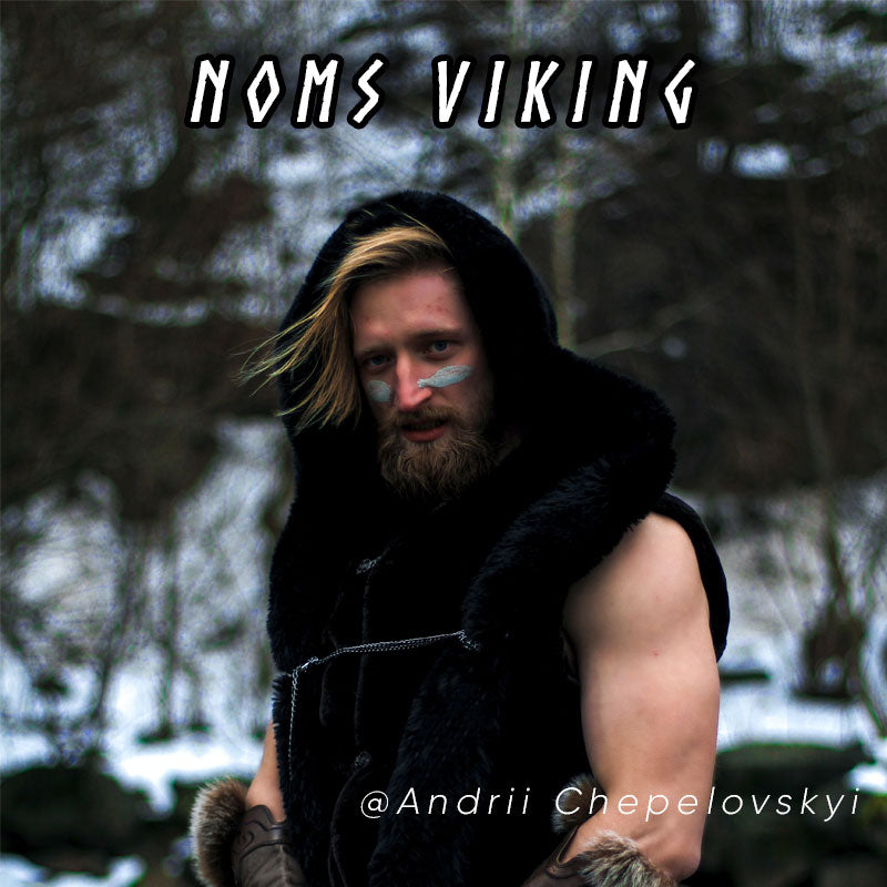Guide complet des noms de vikings