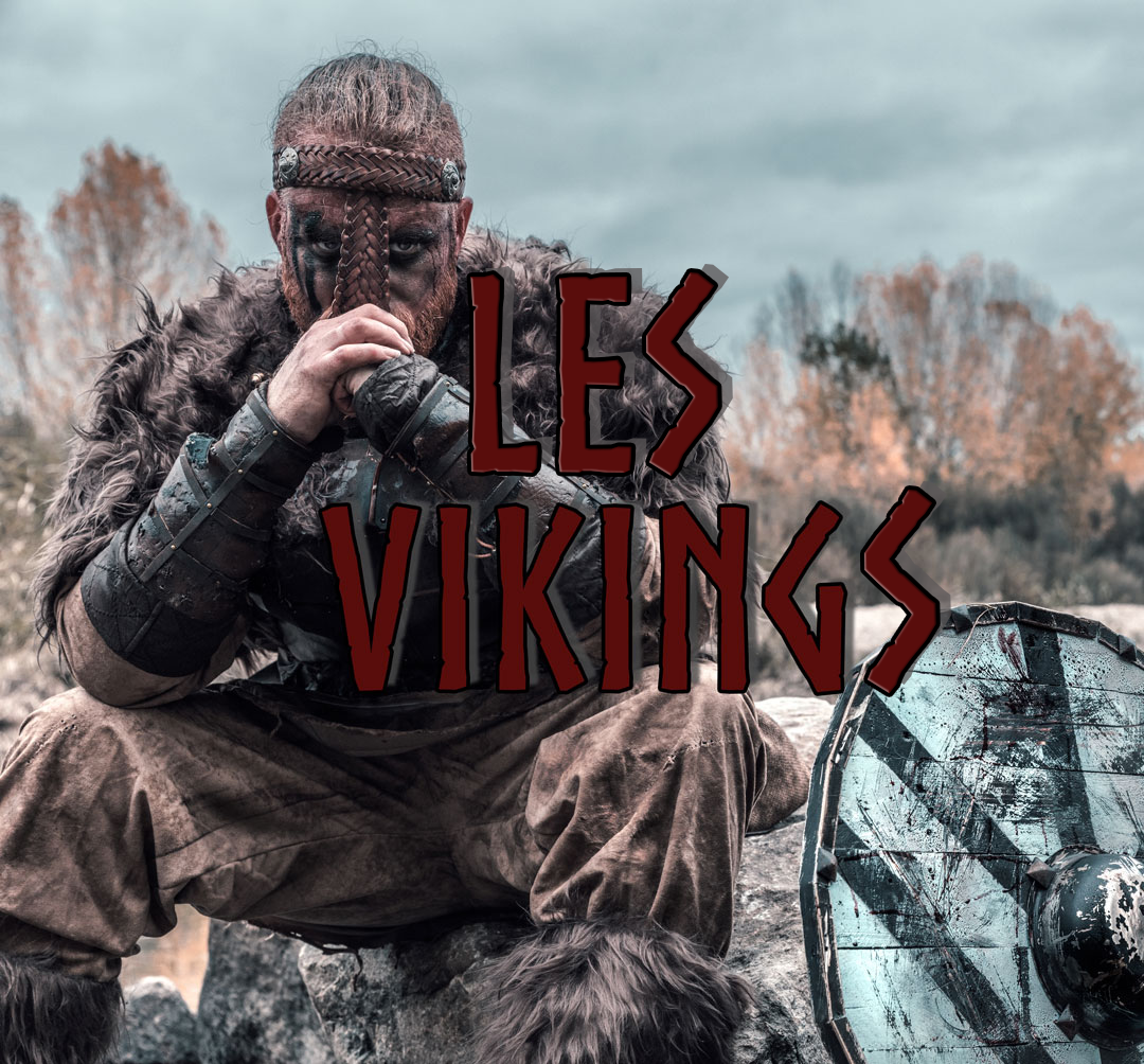 Les Vikings : Histoire, Époque, Origine Et Raid