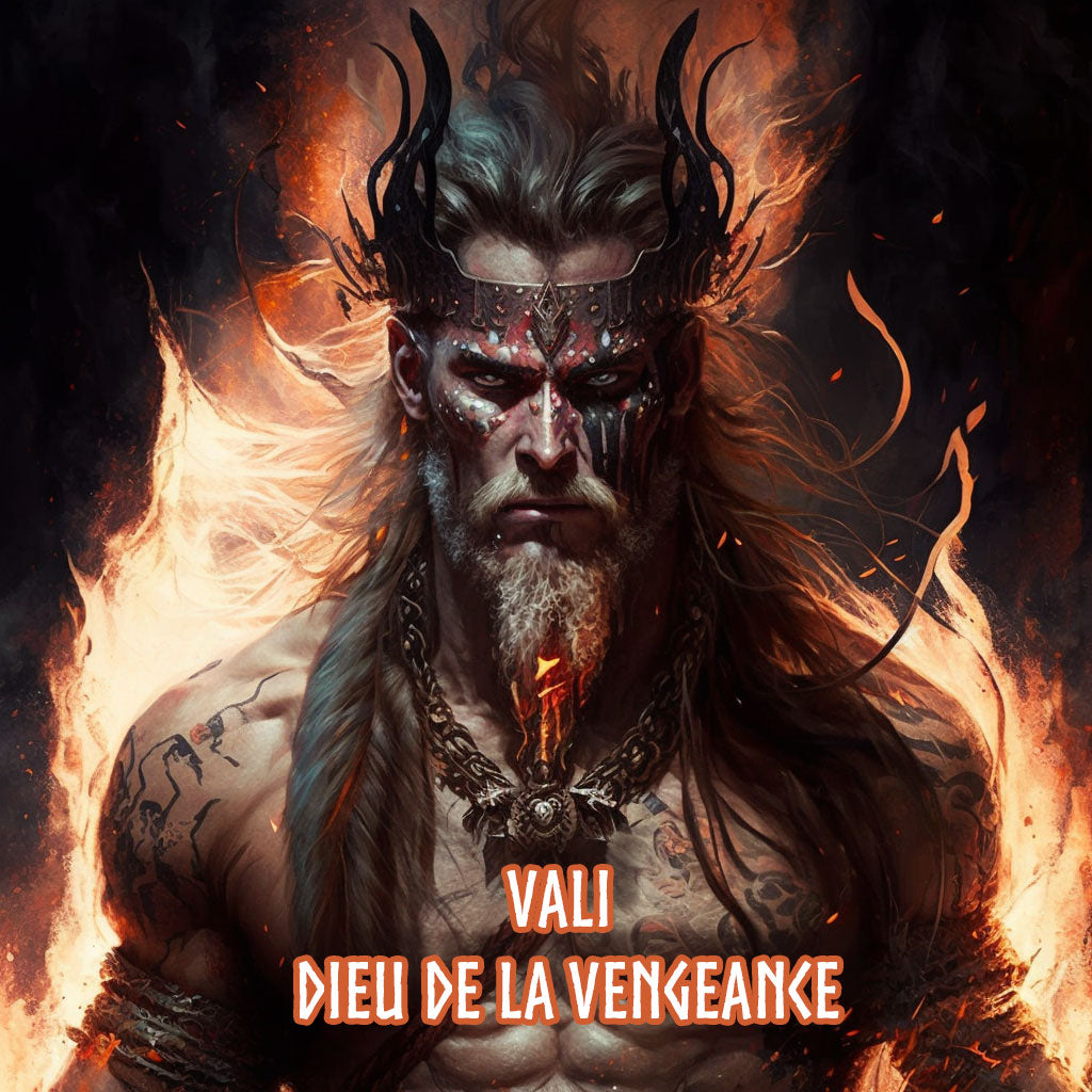 Vali : La Vengeance Du Dieu Nordique - Viking Shop