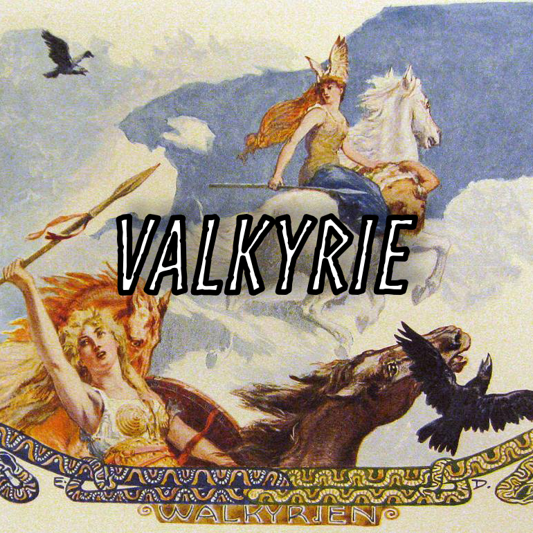 Valkyrie : Histoire Et Légendes Des Femmes Guerrières